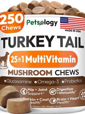 Turkey Tail Mushroom for Dogs Lumps and Bumps Glucosamine Multivitamin
